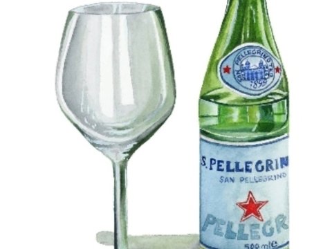 S.Pellegrino 50 cl.